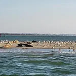 Vue Avec Grande Terrasse Sur La *