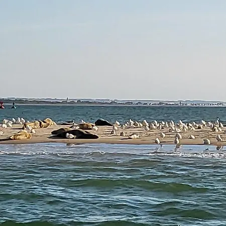 Vue Avec Grande Terrasse Sur La *