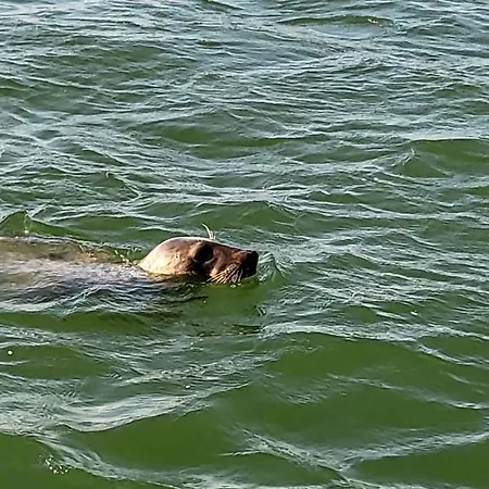 Vue Avec Grande Terrasse Sur La Apartment