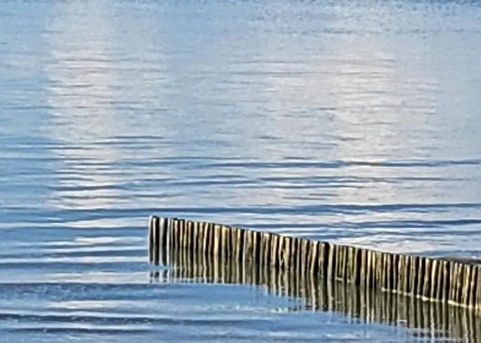 Vue Avec Grande Terrasse Sur La