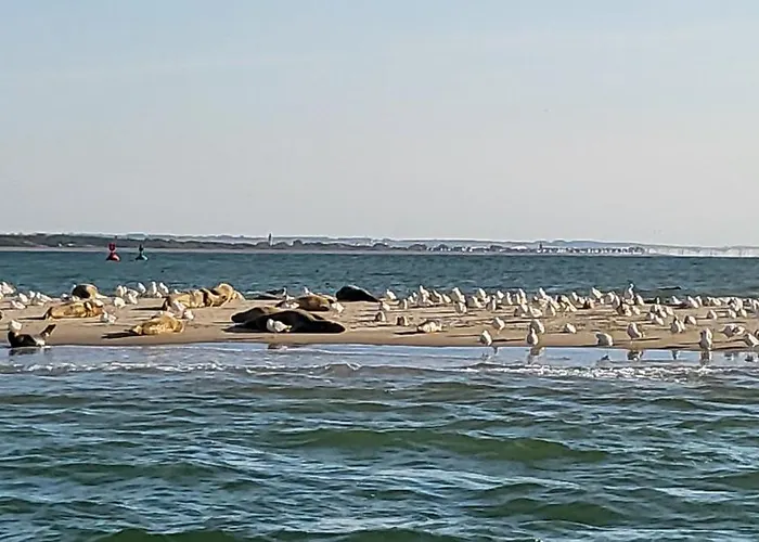 Vue Avec Grande Terrasse Sur La *