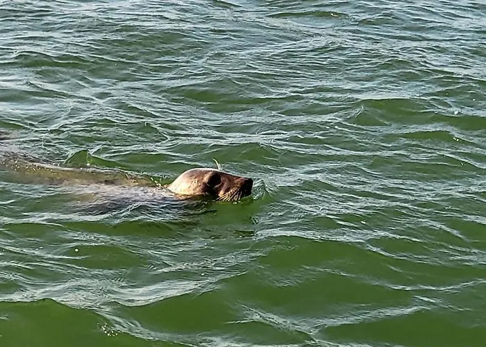 Vue Avec Grande Terrasse Sur La Apartment